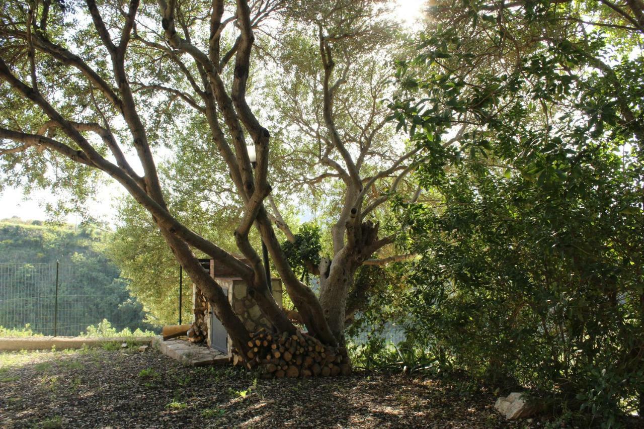 Rustici L'Antico Torchio Villa Кастеламаре дел Голфо Екстериор снимка