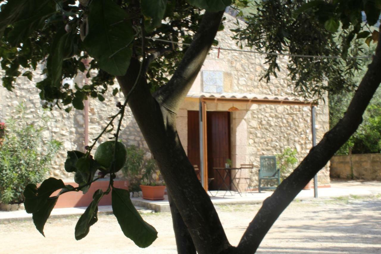 Rustici L'Antico Torchio Villa Кастеламаре дел Голфо Екстериор снимка