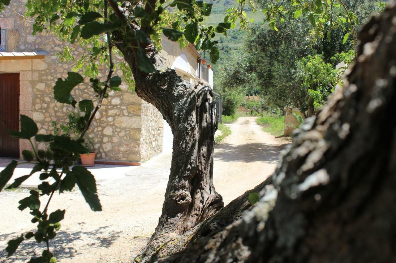 Rustici L'Antico Torchio Villa Кастеламаре дел Голфо Екстериор снимка